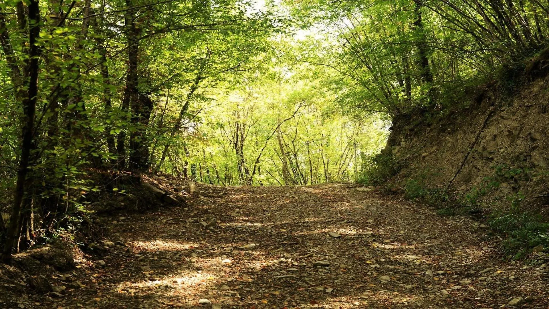 Baciano Azienda Agrituristico Venatoria Capolona